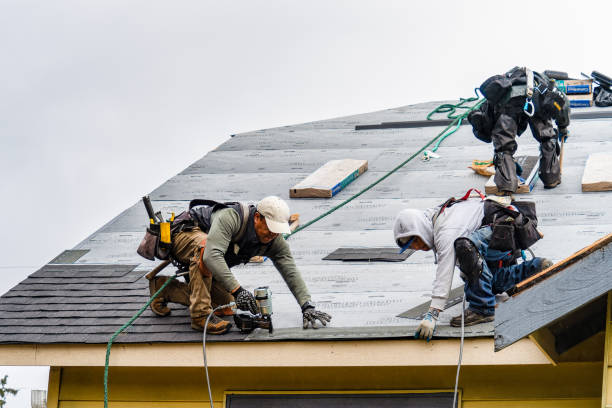Professional Roofing technician working in Palisades, WA